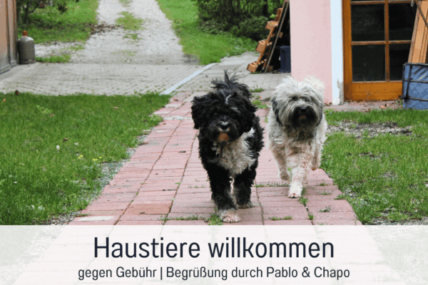 Ammersee Ferienwohnungen H7-Street 24