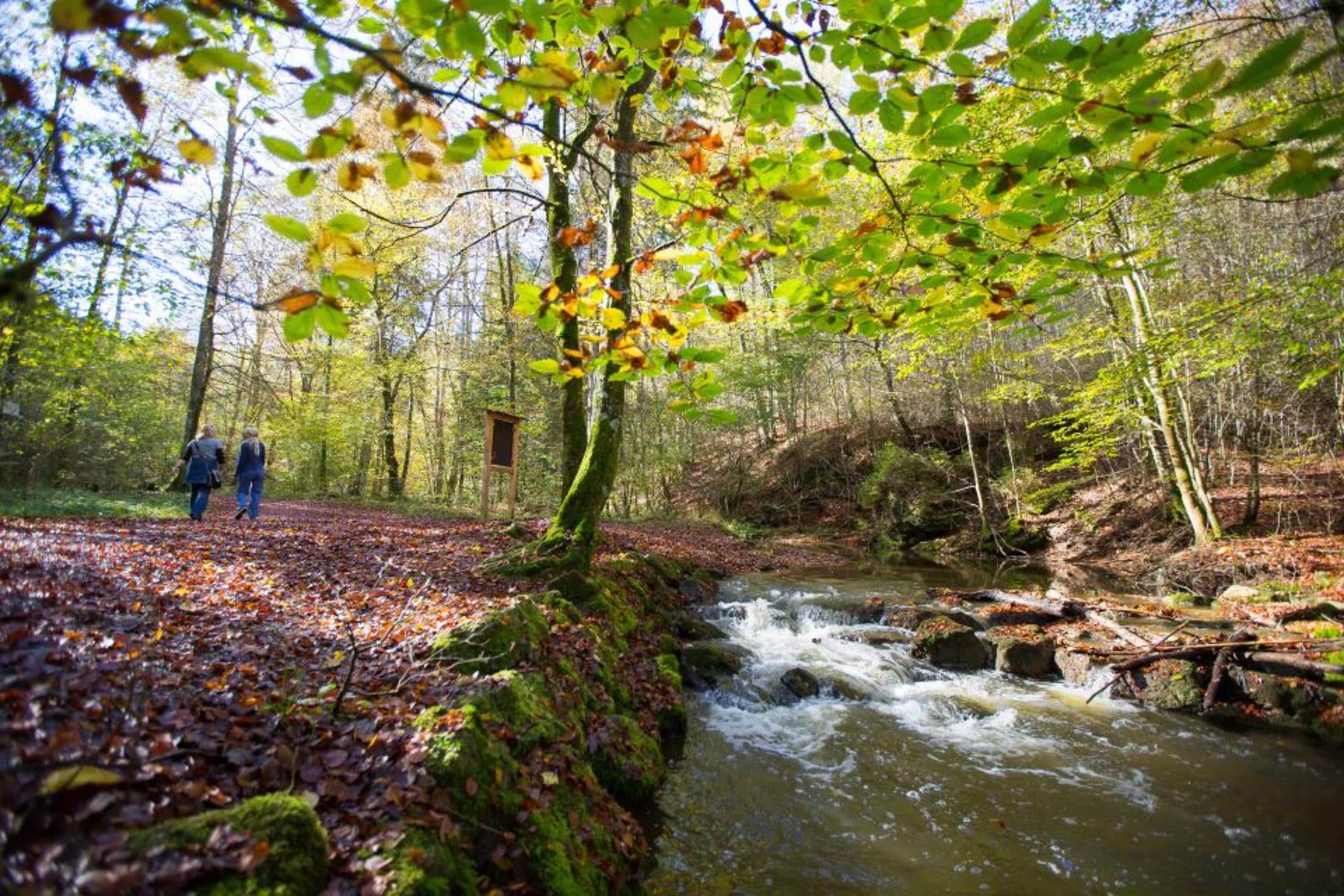 Ammersee Ferienwohnungen Maisinger Schlucht