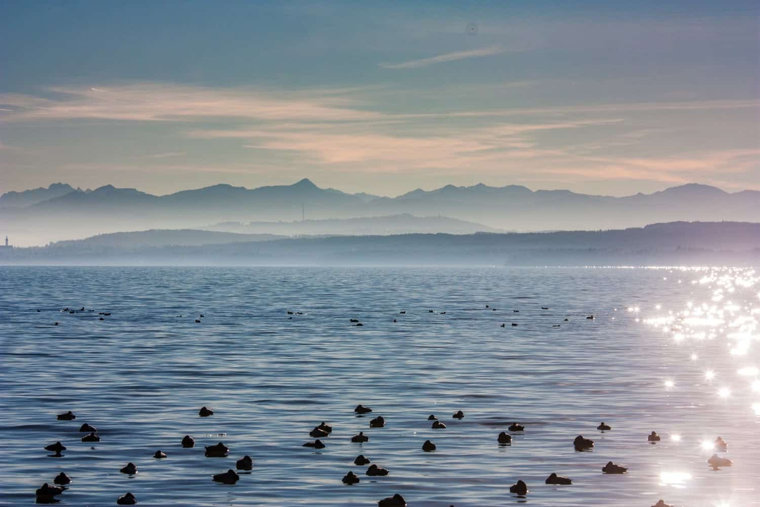 Ammersee Ferienwohnungen See Enten